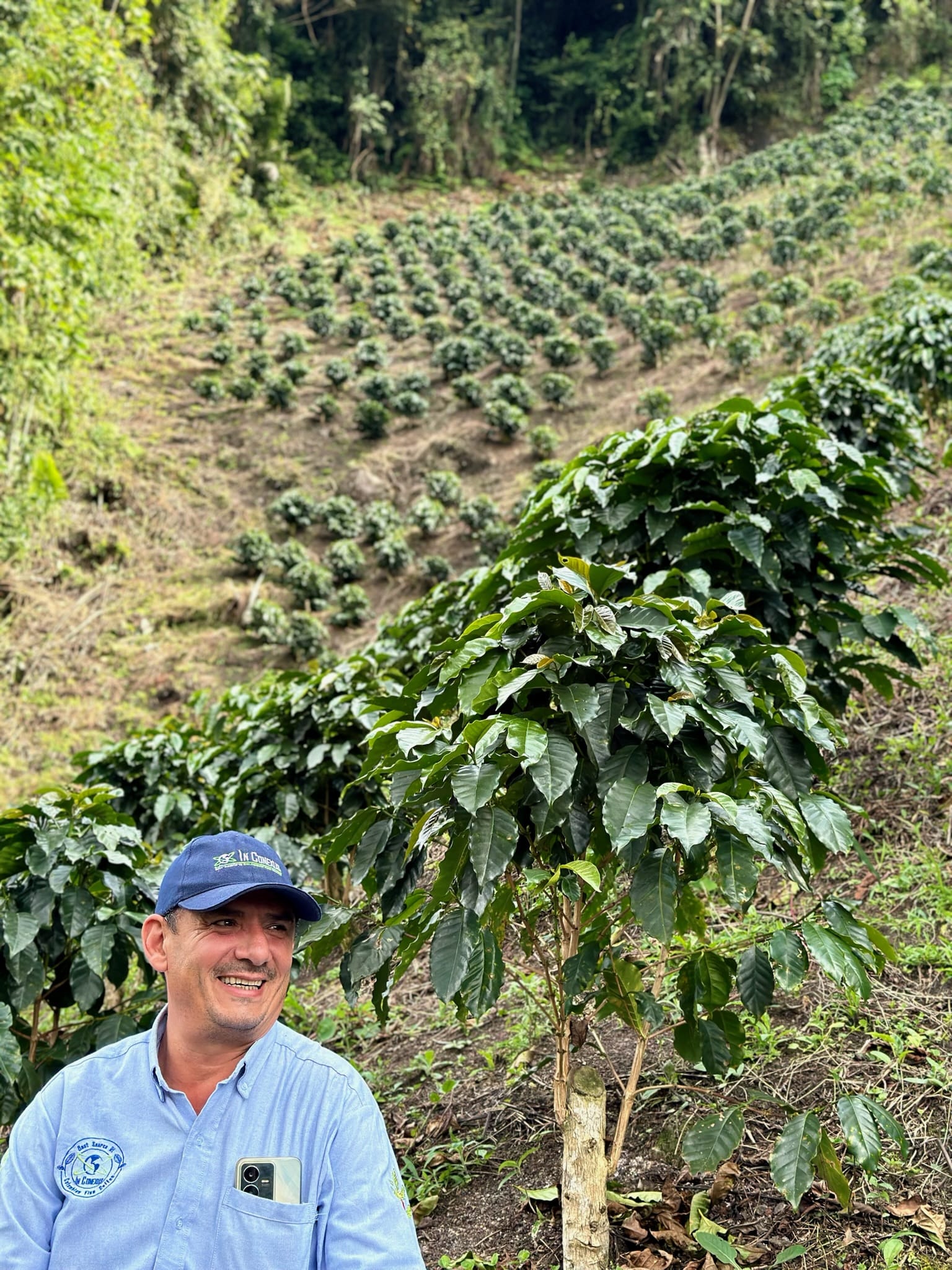 Thumbnail 15